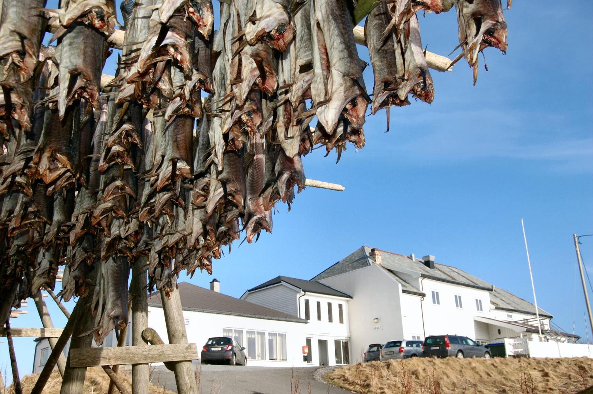 Fiskarheimen Havly, Rost Hotel Exterior photo